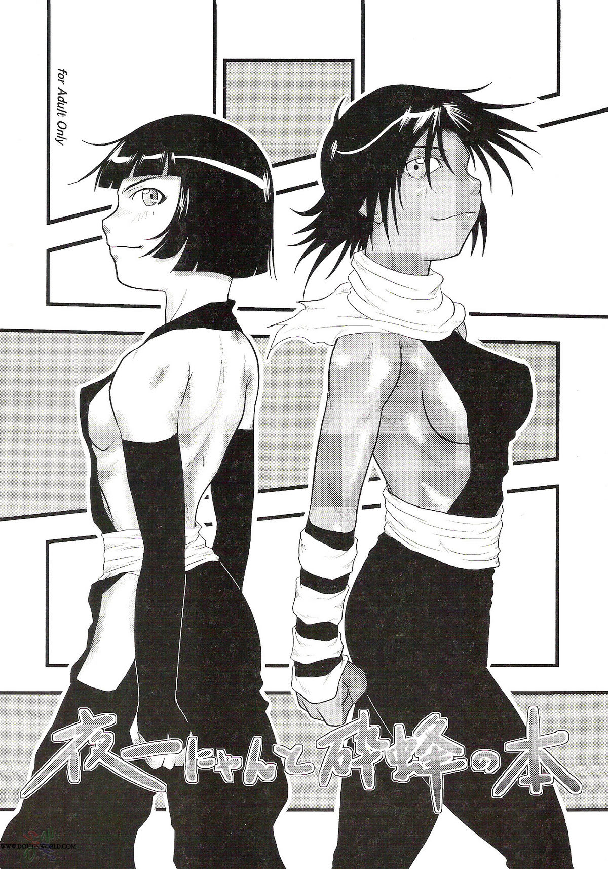 Yoruichi Nyan to Soi Fon no Hon cover