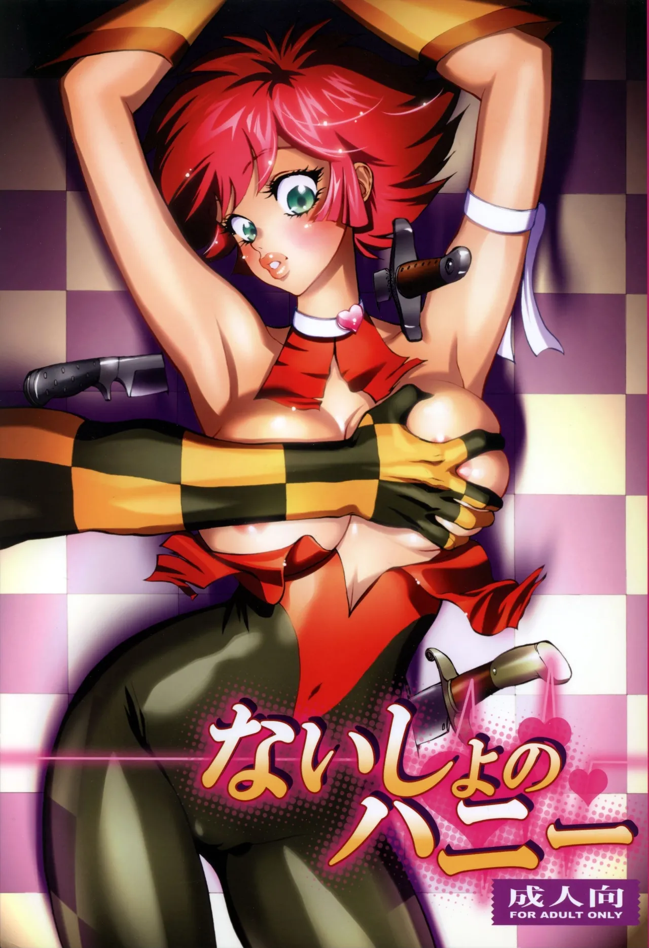 Naisho no Honey cover