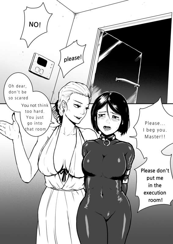 execution room cover