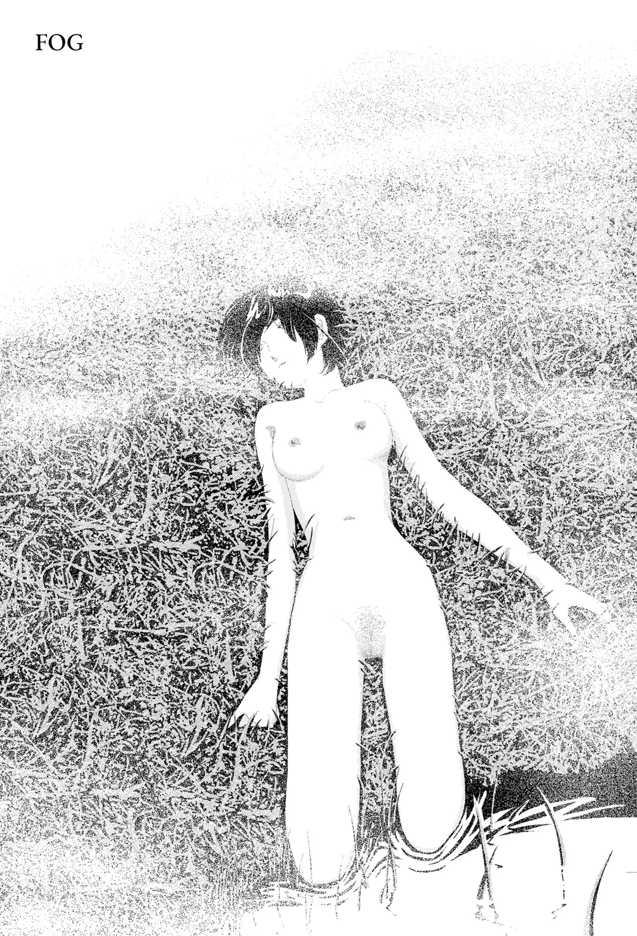 Fog cover