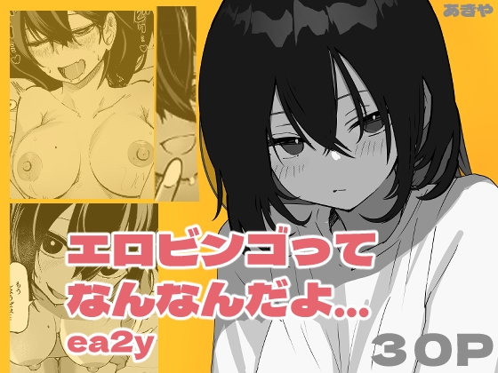 What is Erotic Bingo... 2 cover
