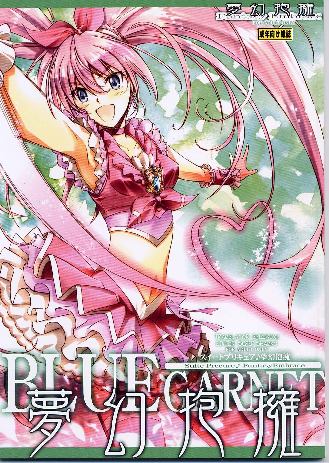 Fantasy Embrace (Suite Precure♪) [English] =Shizuku + Super Shanko= cover