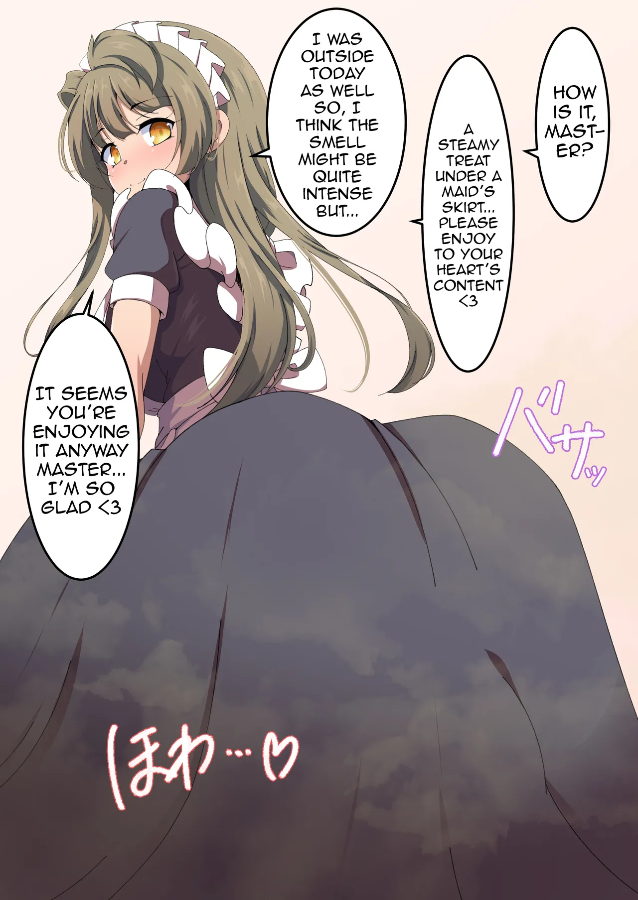 Skirt Steam cover