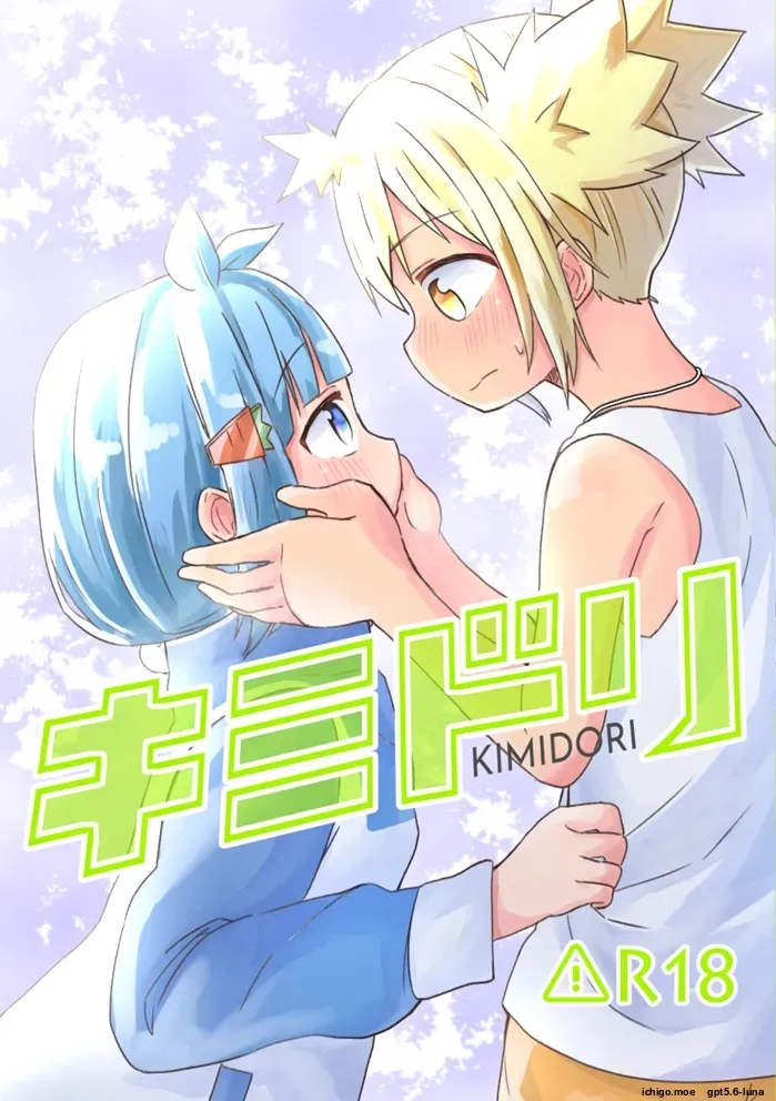 kimidori cover
