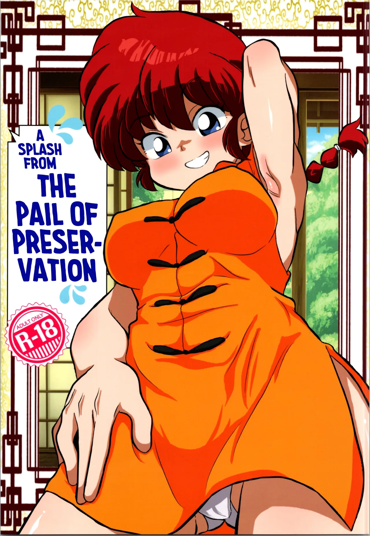 A Splash from the Pail of Preservation cover