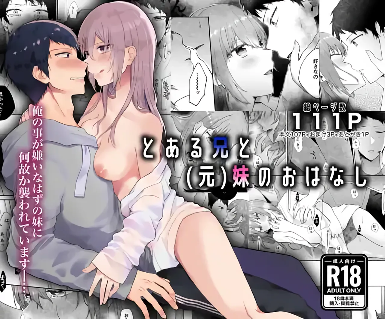 The Tale of a Certain Brother and His (Ex) Sister cover