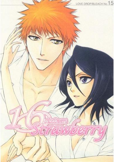 16 Strawberry cover