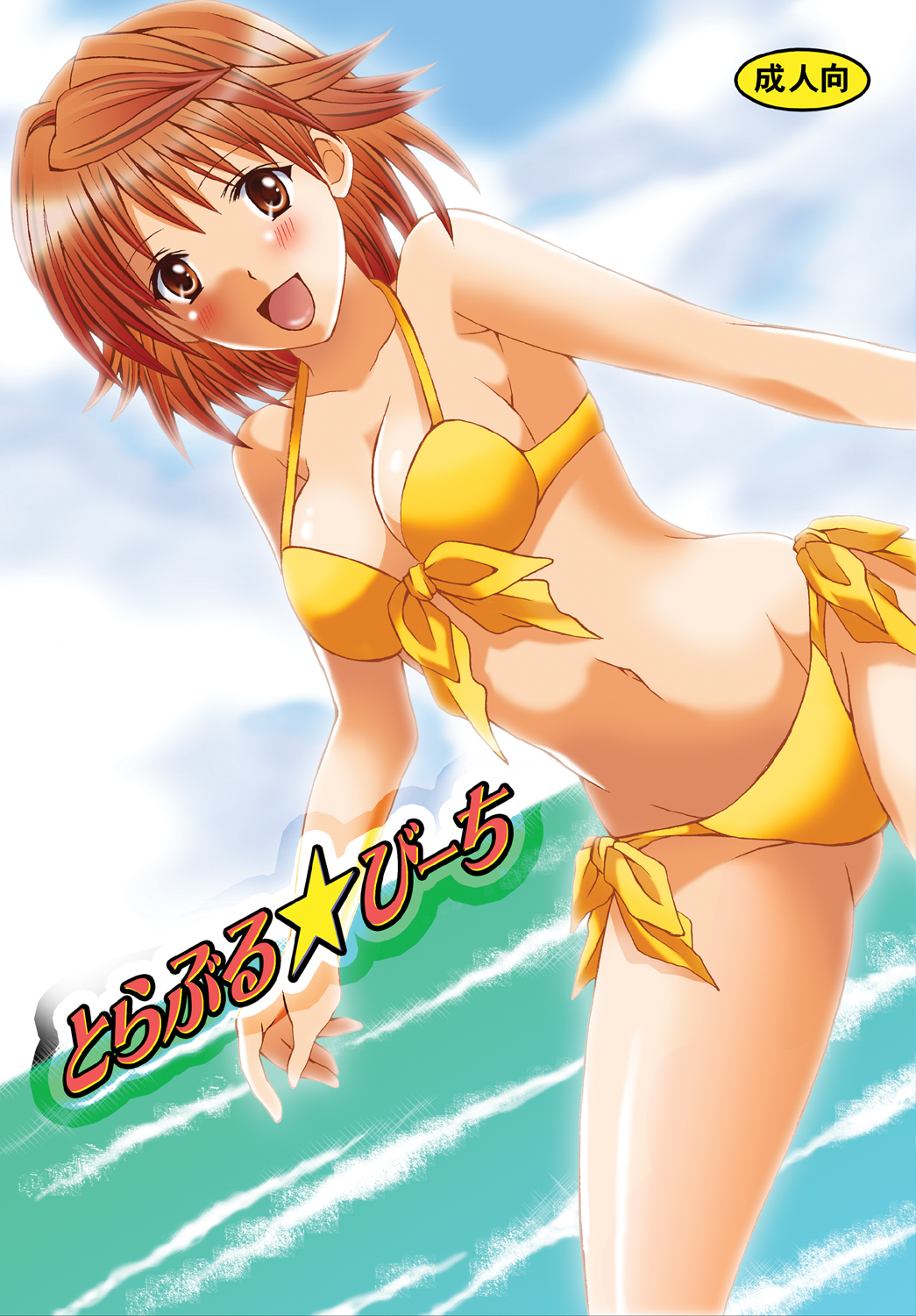 Toraburu ☆ Beach cover