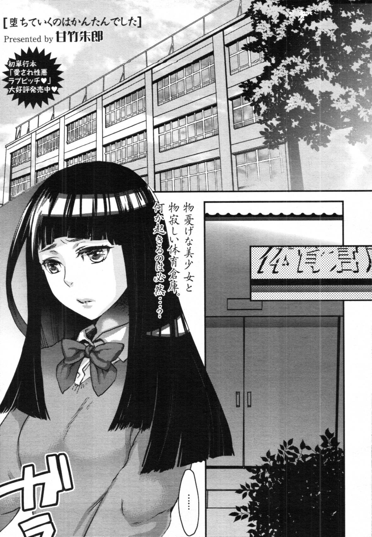 Ochiteiku no wa Kantan Deshita cover