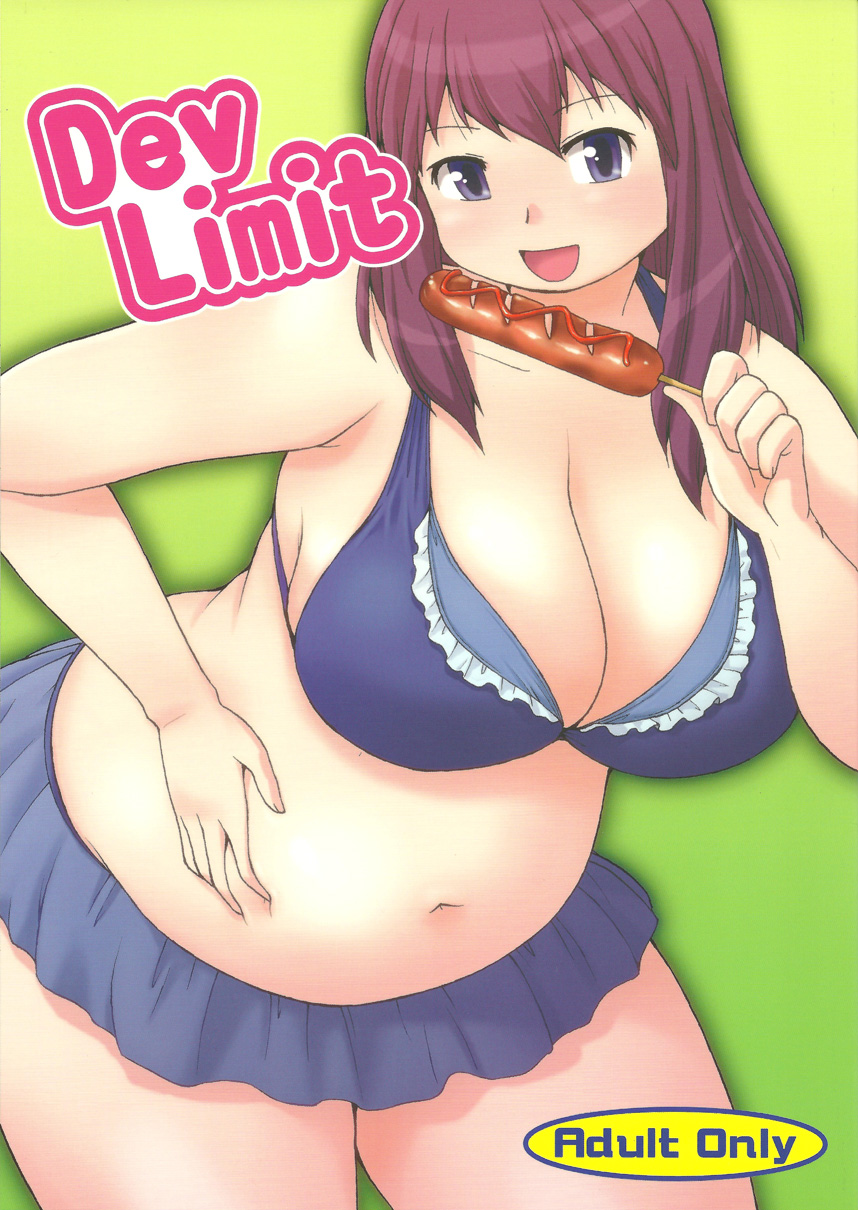 DevLimit cover