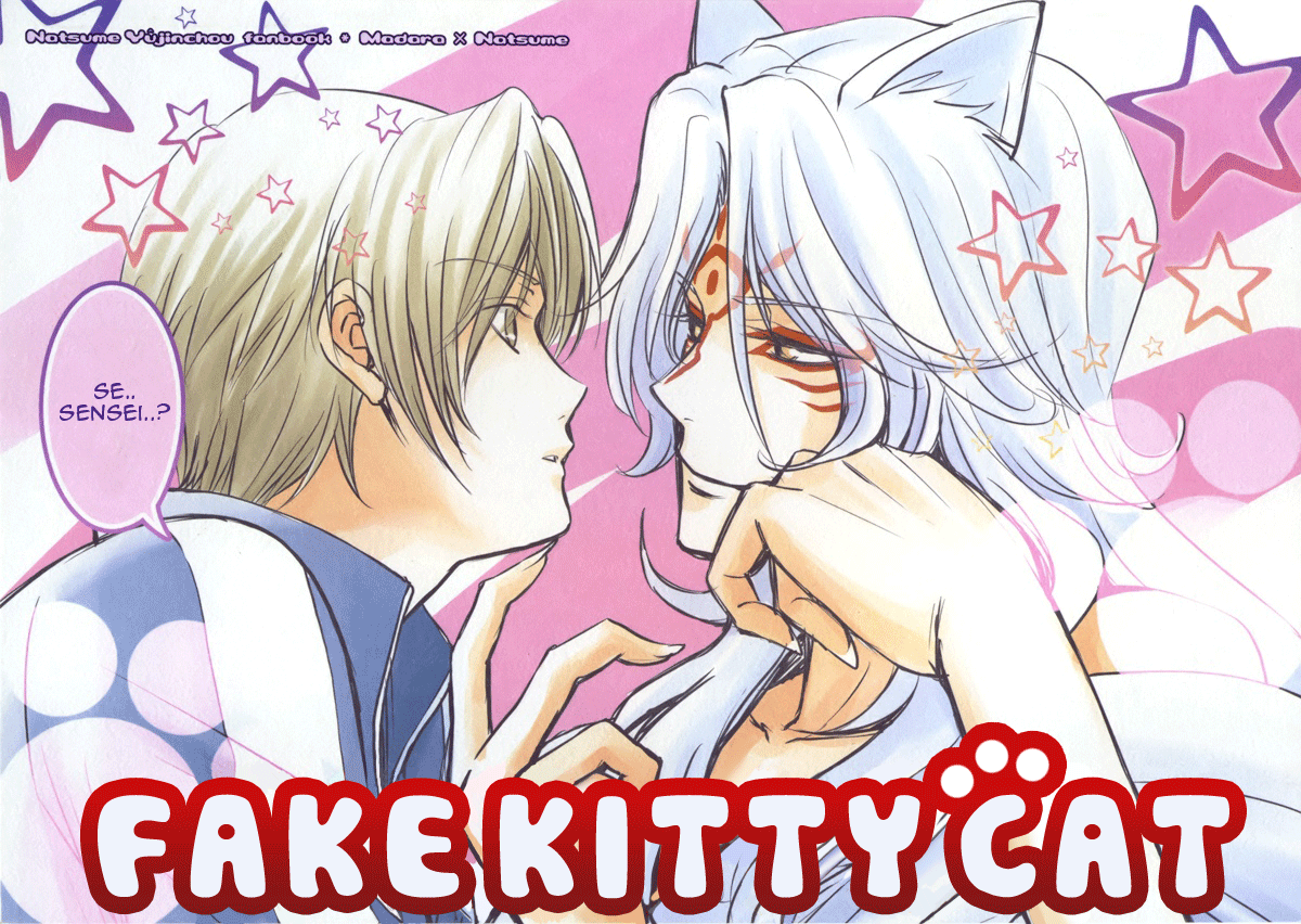 Fake Kitty Cat cover