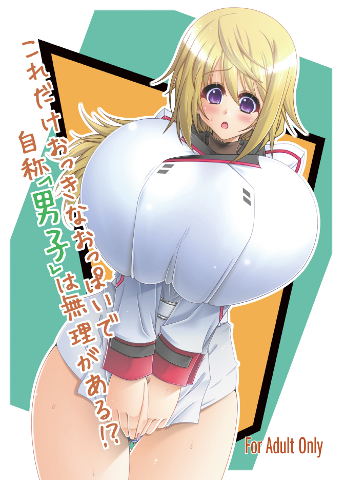 With huge boobs like that how can you call yourself a guy? cover