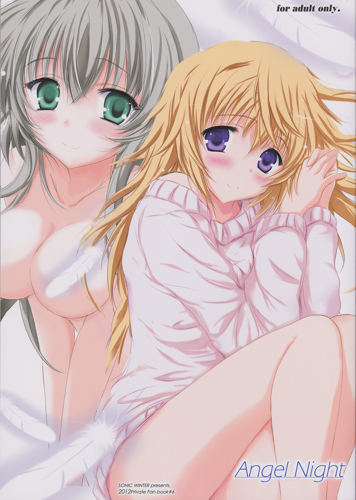 Angel Night cover
