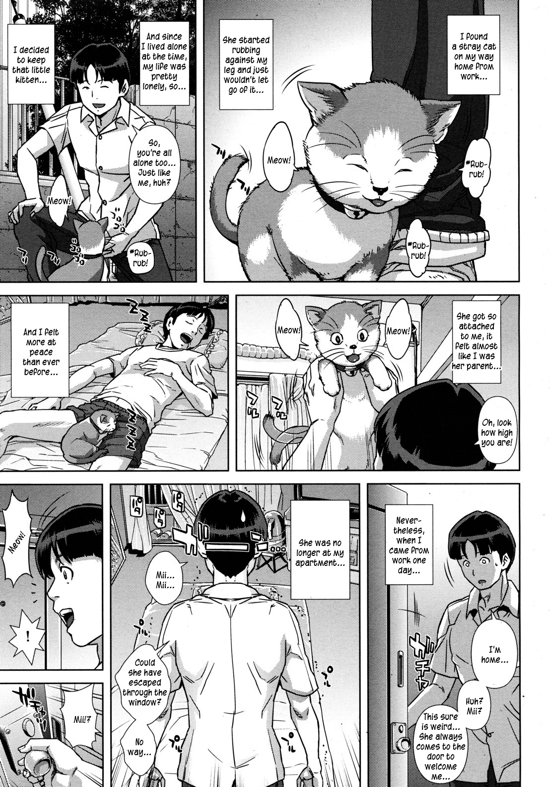 Kitten's Gratitude cover
