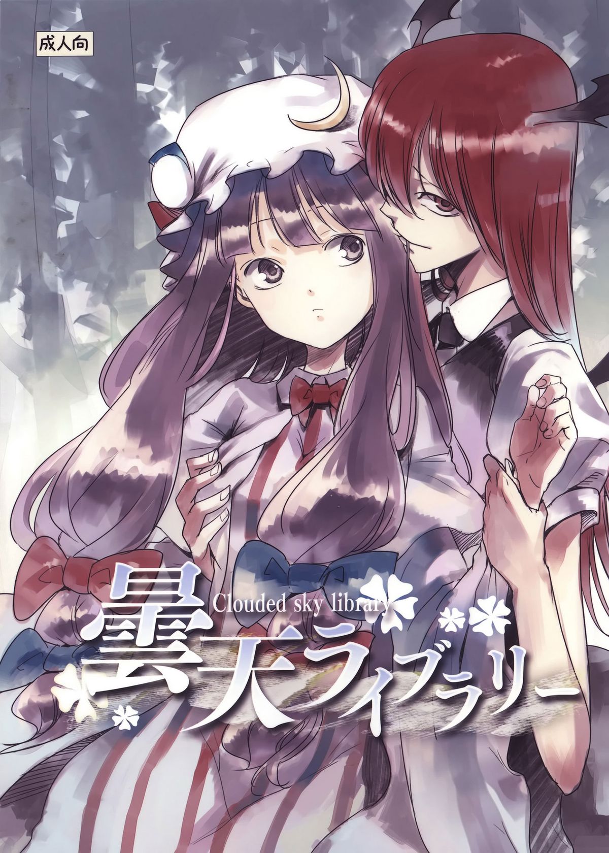 Cloudy Sky Library cover