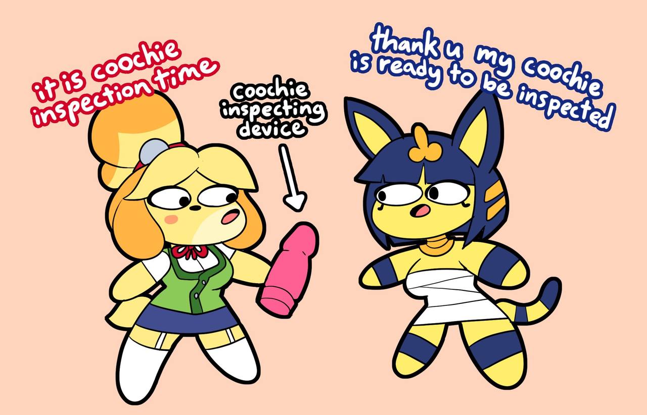 Coochie Inspection cover