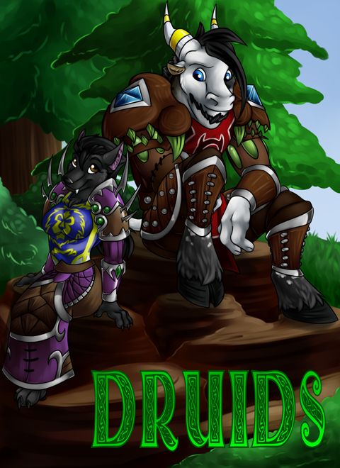 Druids cover