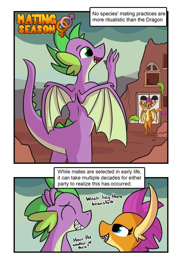 Dragon mating cover