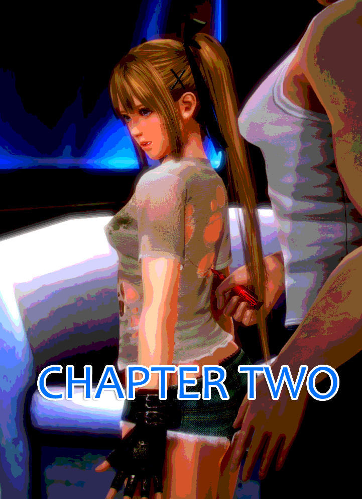 A Maid's Demise 2 cover