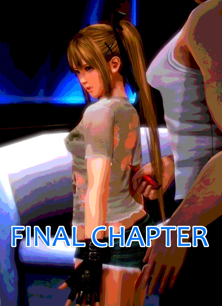A Maid's Demise 3 cover