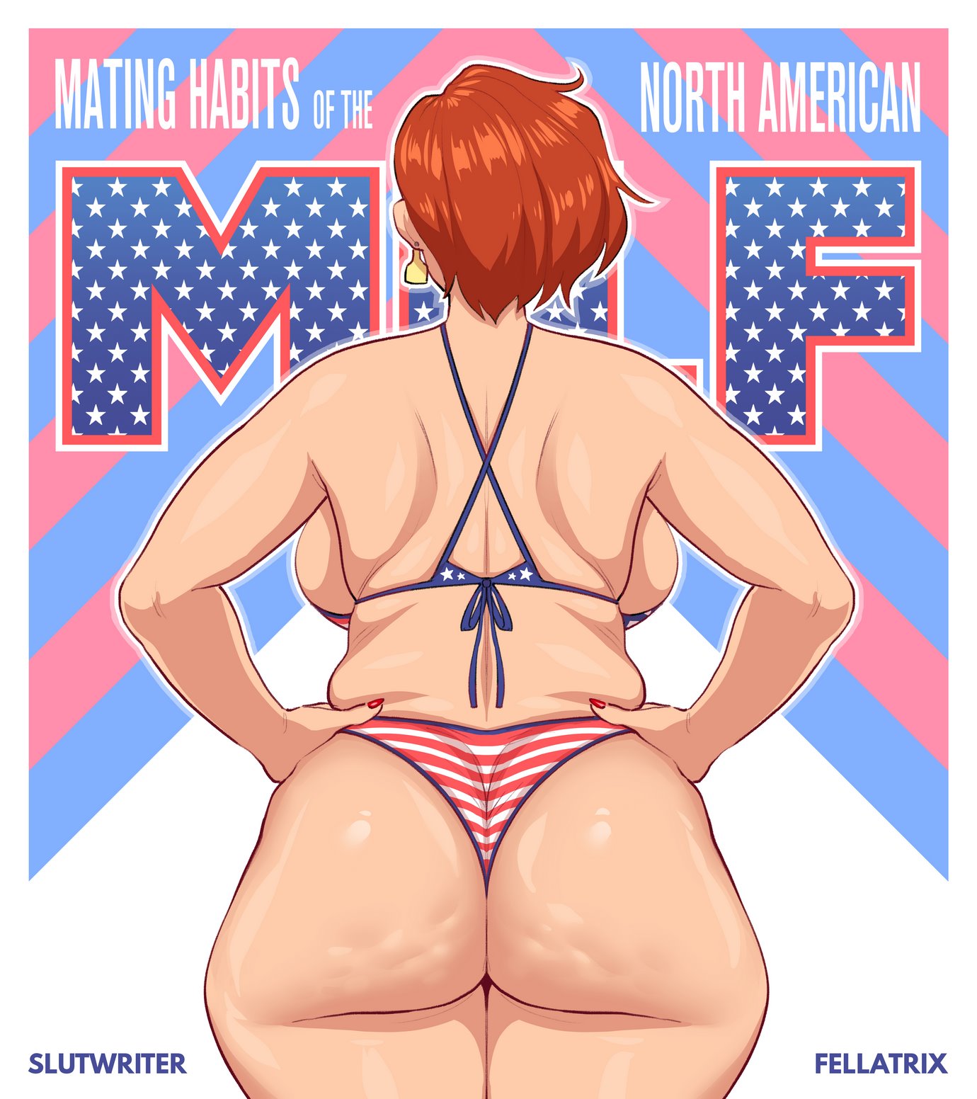 Mating Habits Of The North American MILF cover