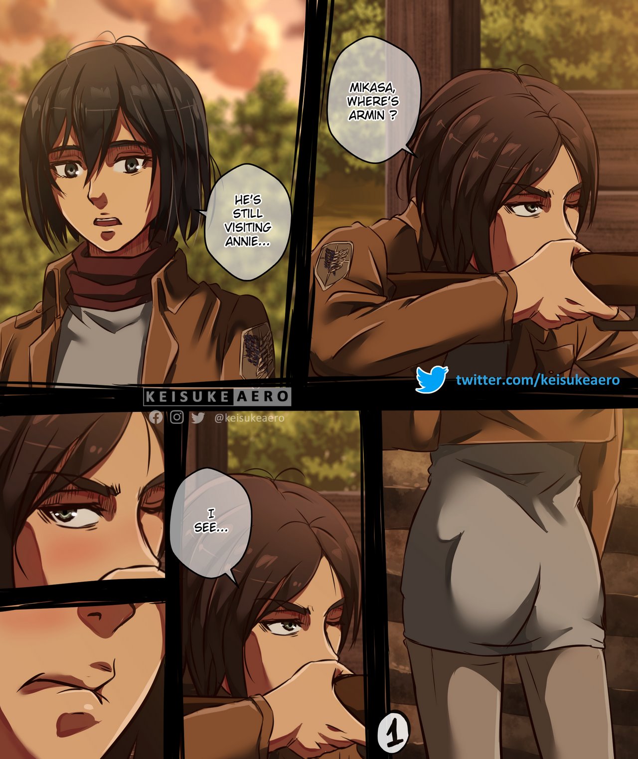 Eren x Mikasa cover