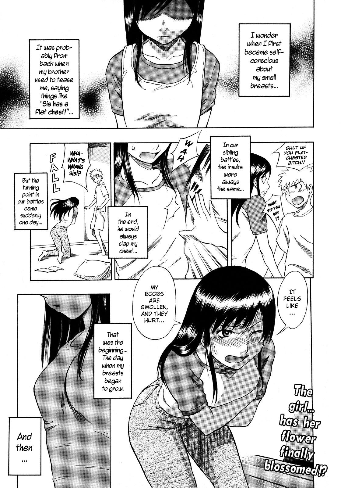 Hinnyuu Kyonyuu History | Tiny Boobs Giant Tits History cover