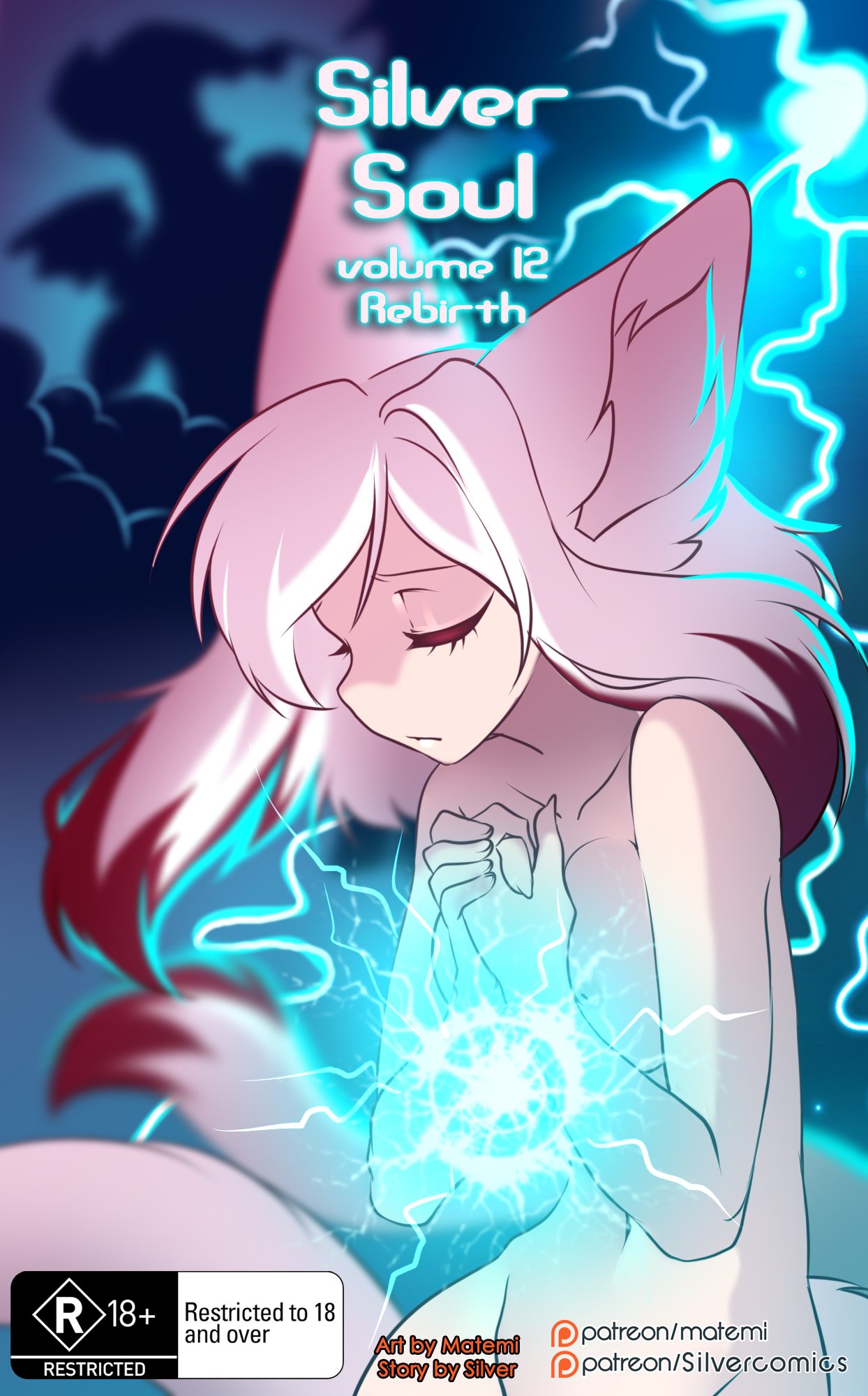 Silver Soul Vol.12 cover