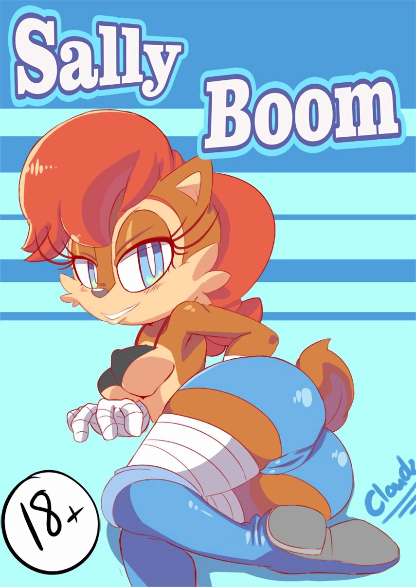 Sally Boom cover