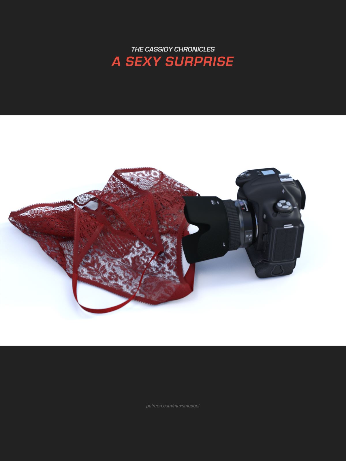 A Sexy Surprise cover