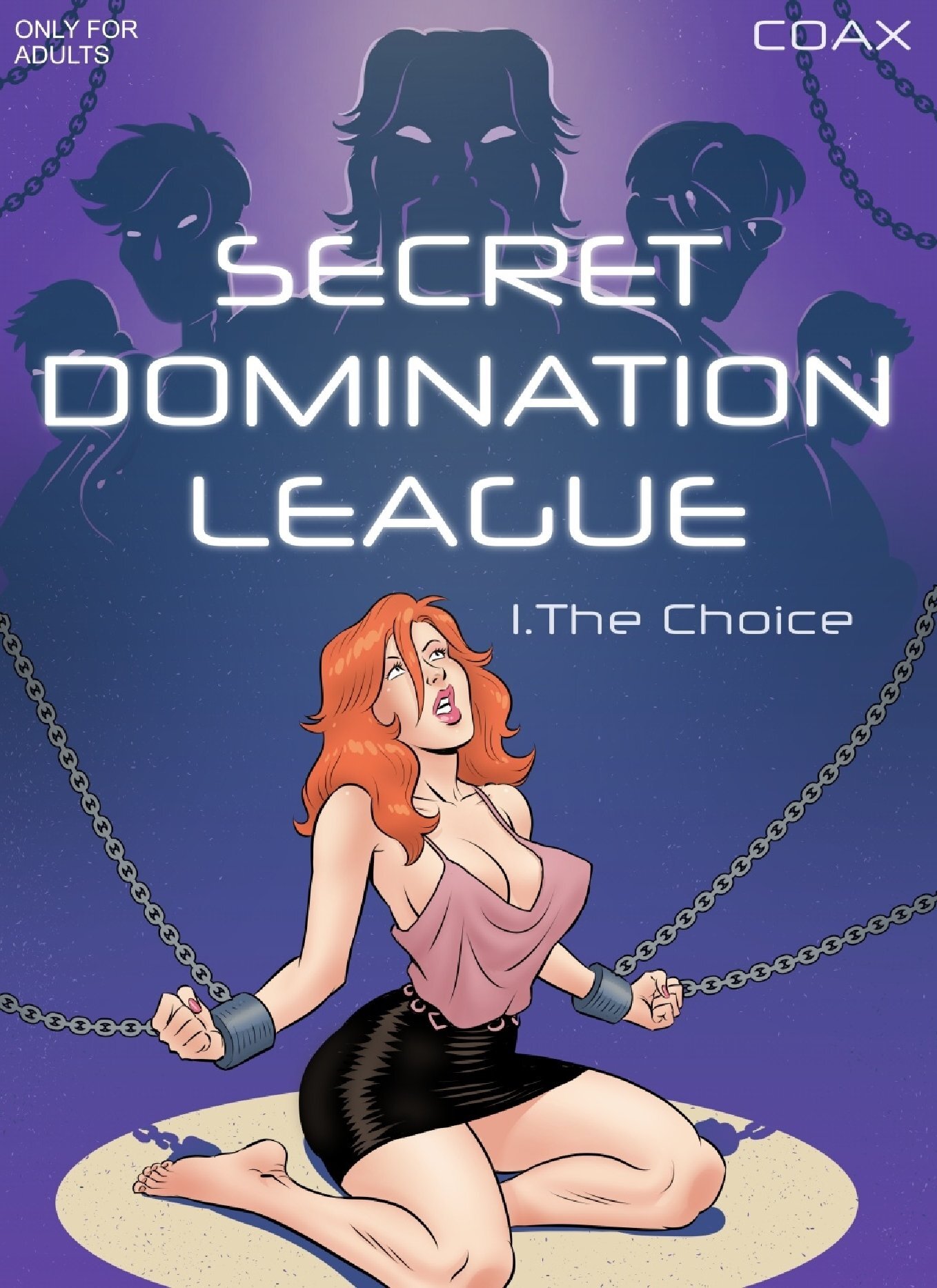Secret Domination League 1 - The Choice cover