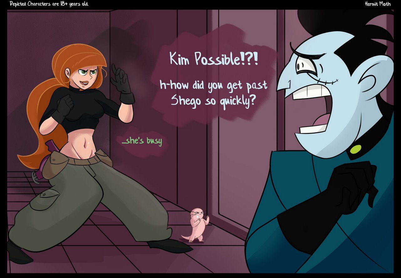 Shego's Distraction cover