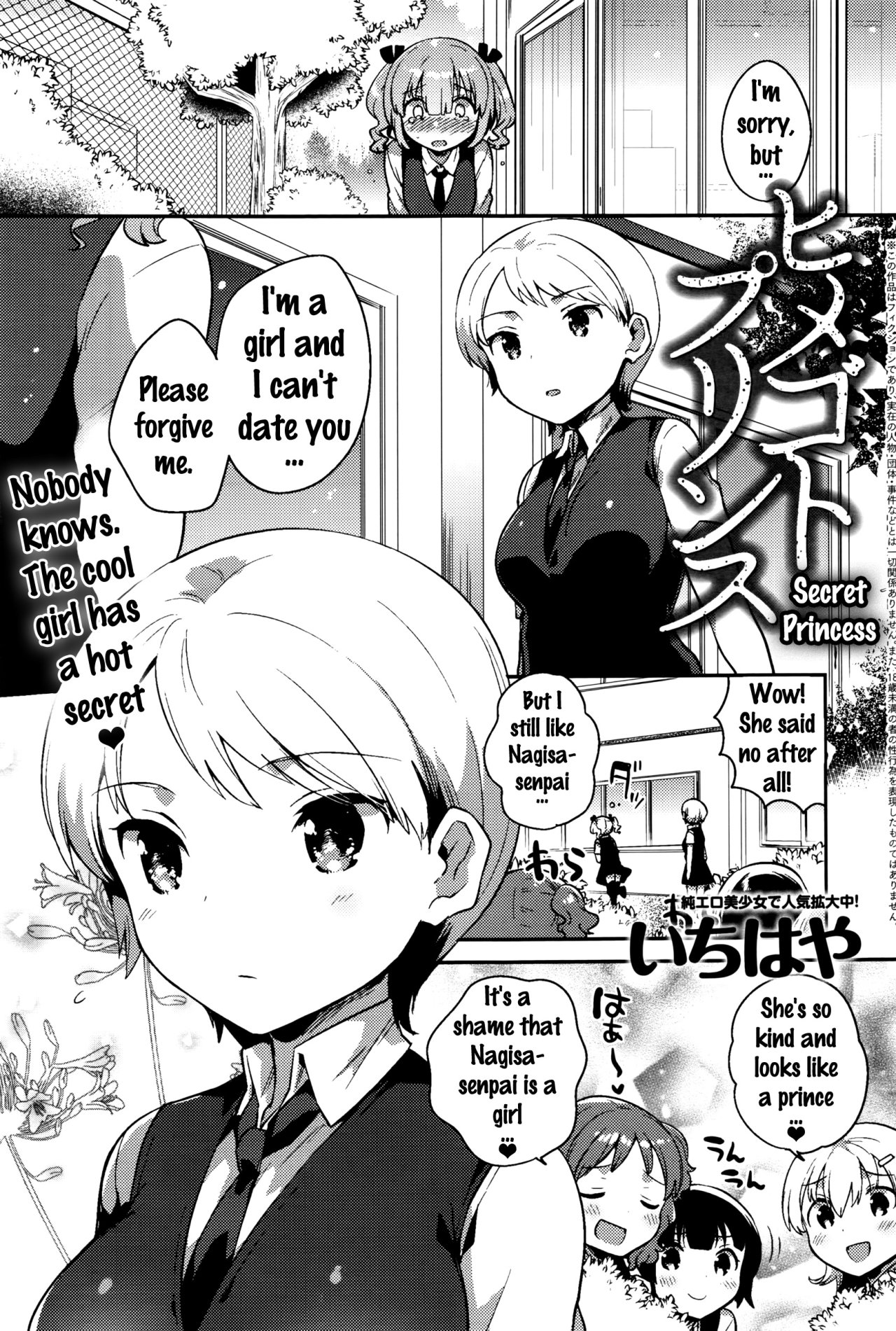 Secret Princess cover