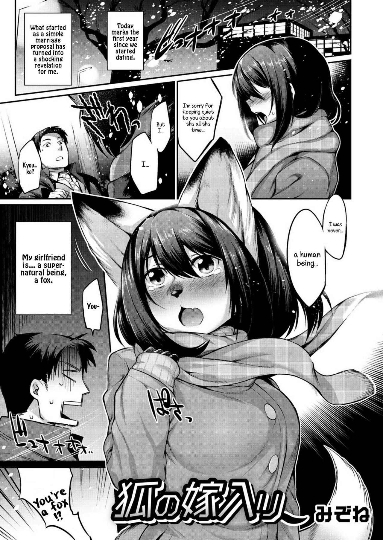 A Fox Wedding cover