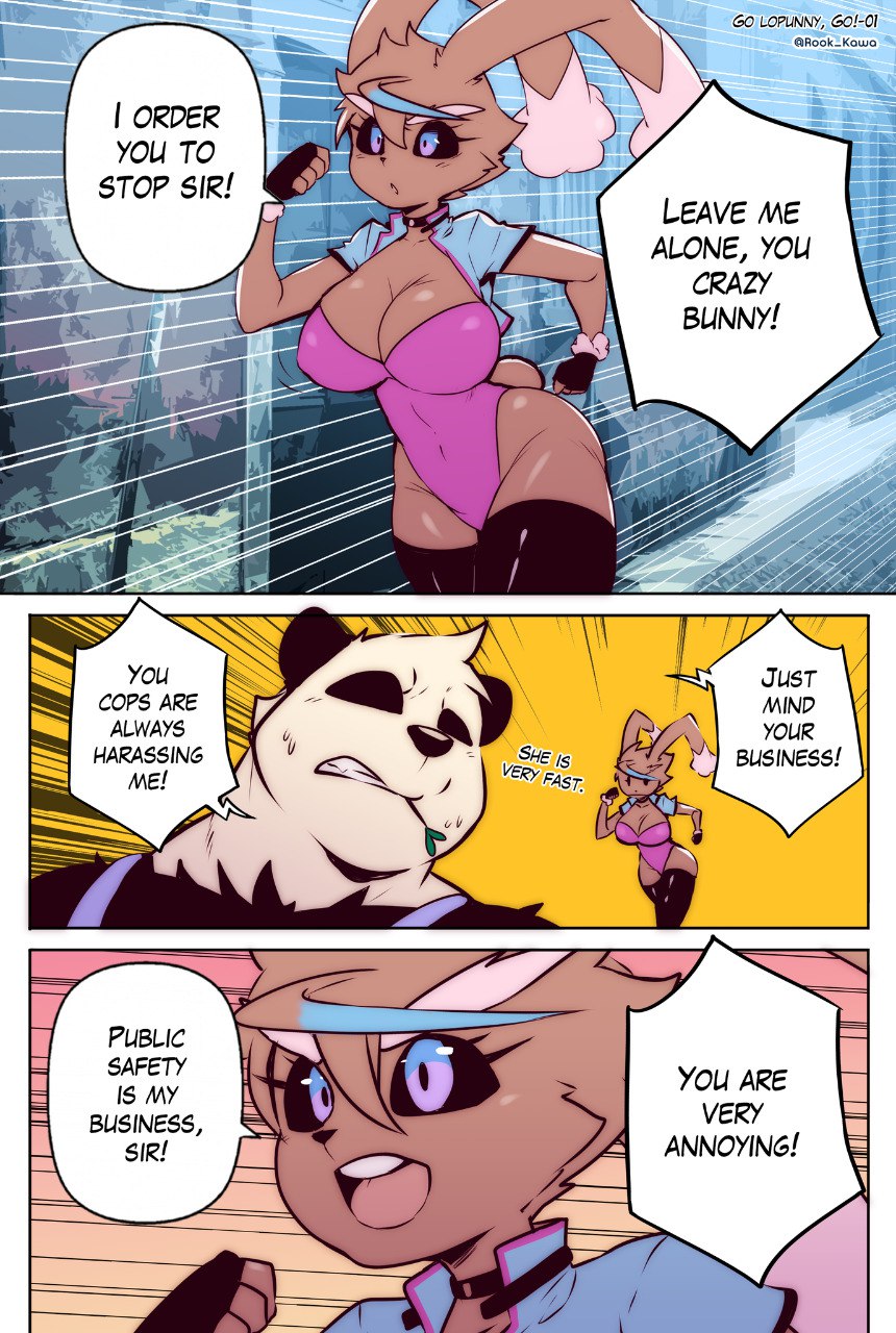 Go, Lopunny, Go! cover