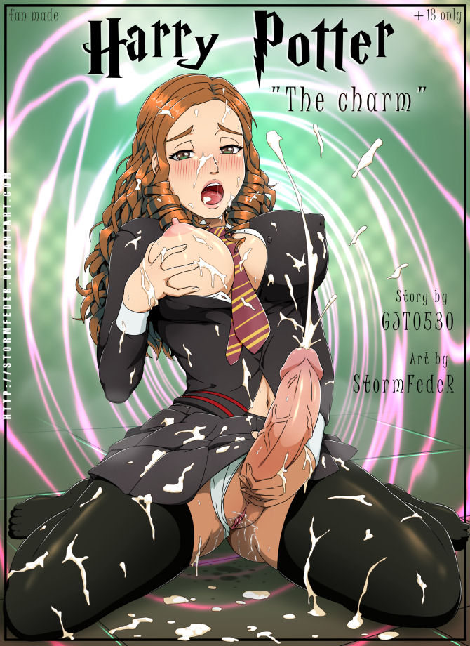 The Charm (Harry Potter) cover