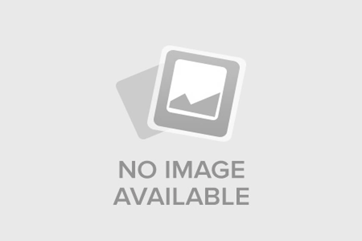 Party at Rainbow Cove cover