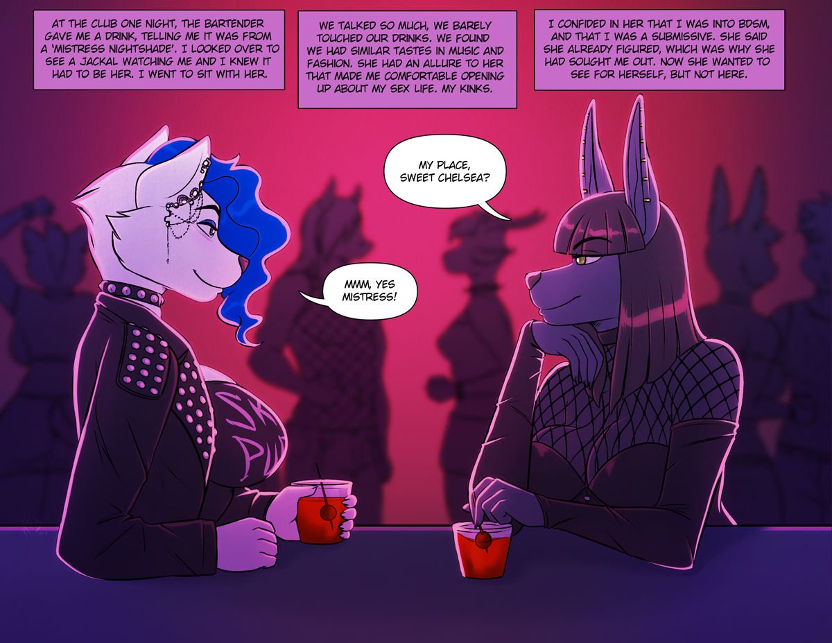 A special night of training cover