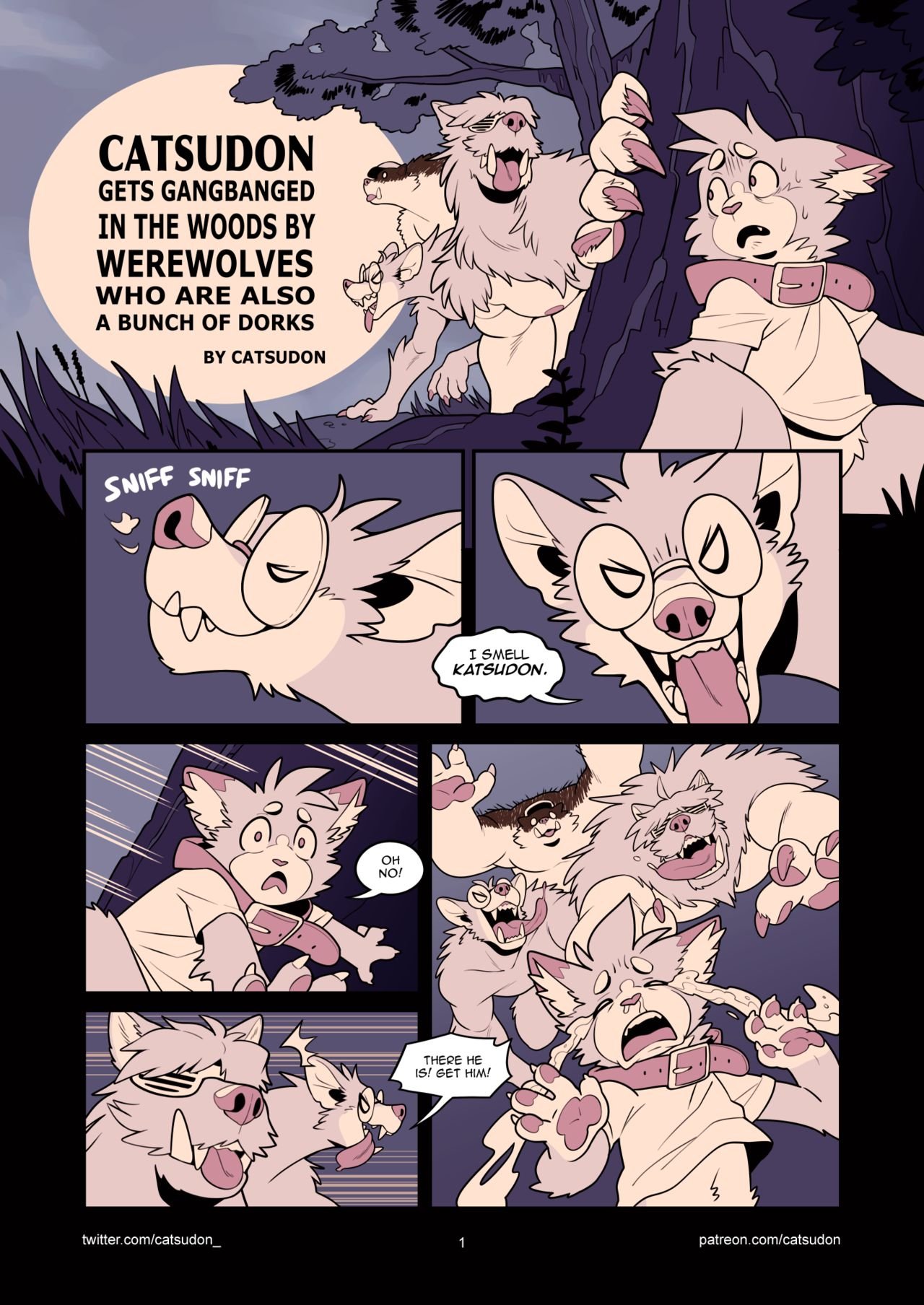 Catsudon Gets Gang-banged In the Woods By Werewolves Who Are Also a Bunch of Dorks cover