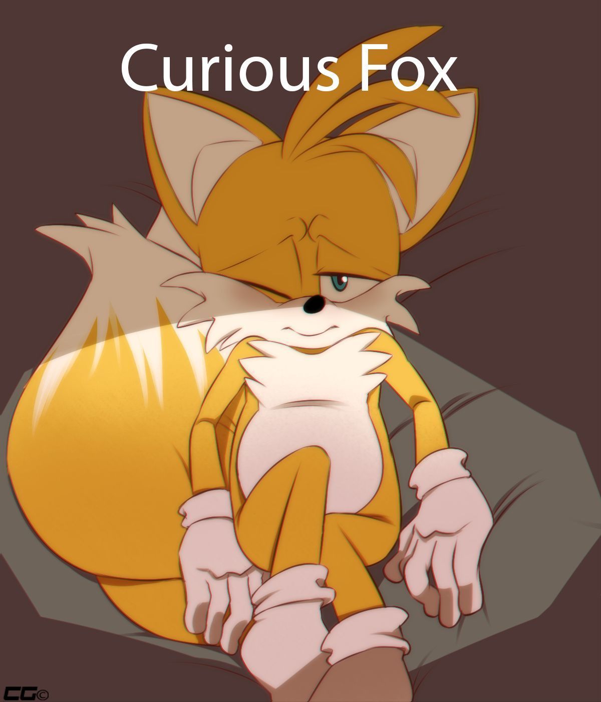 Curious fox cover