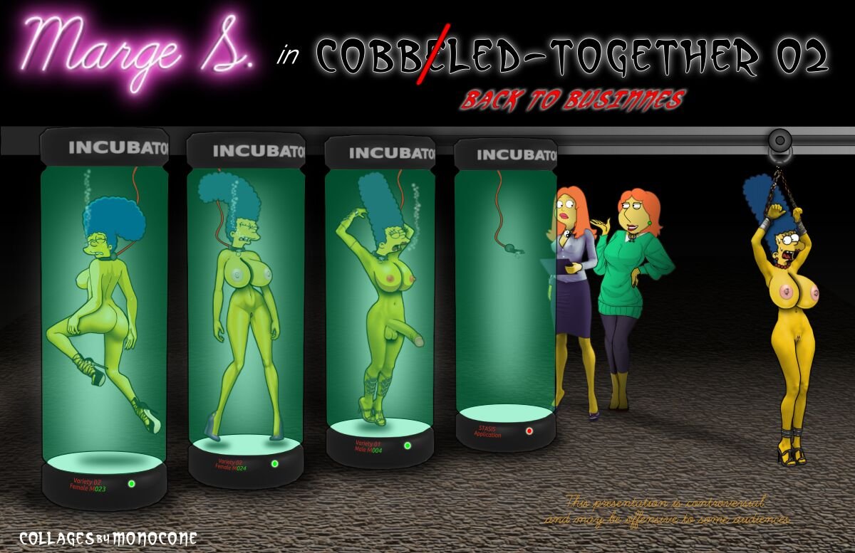 Cobbled-Together 02 cover