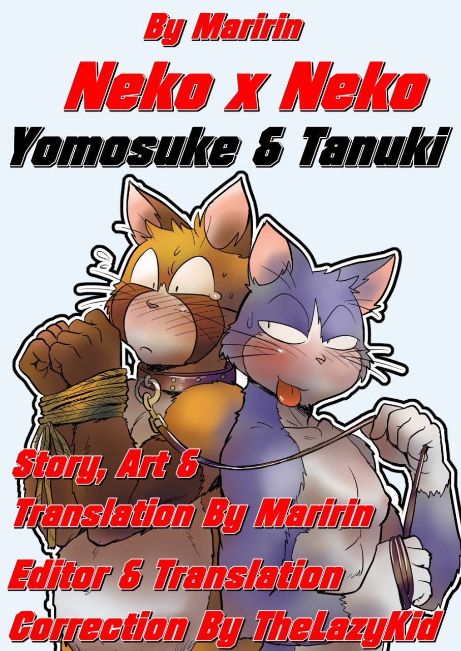 Neko X Neko cover