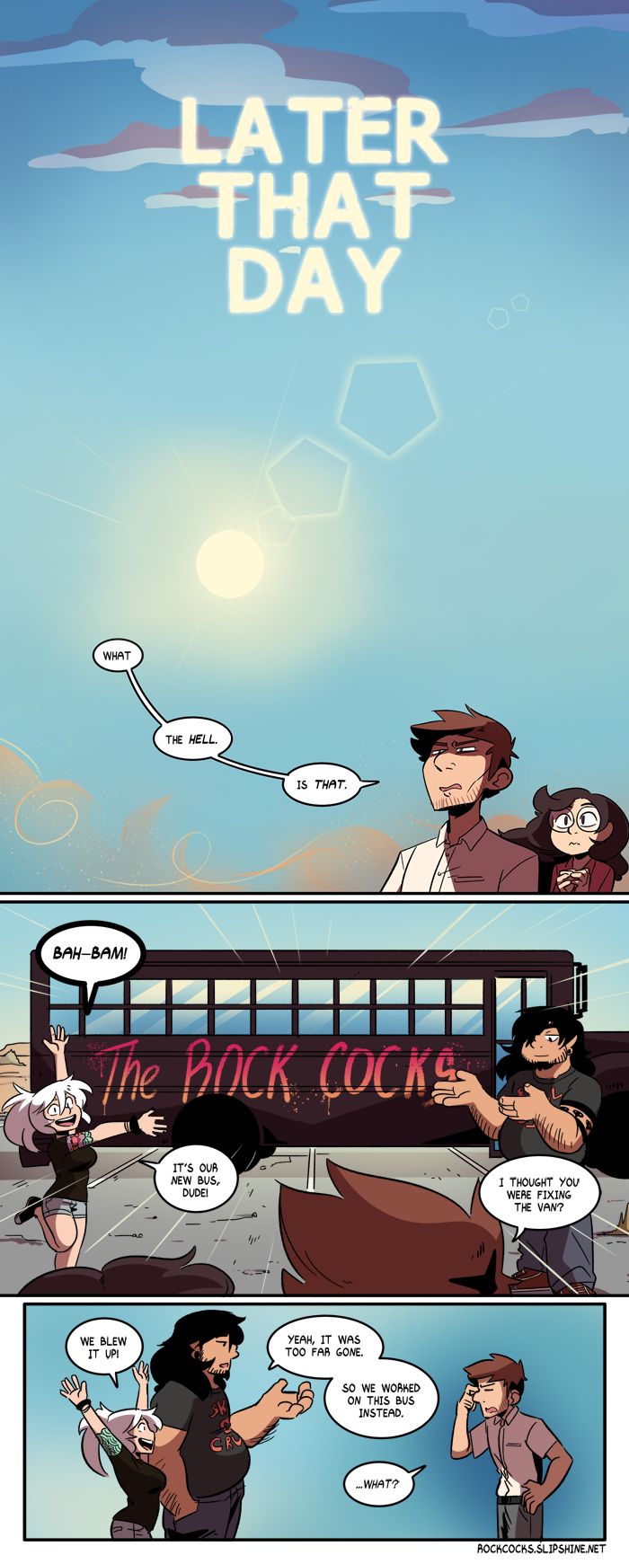 The Rock Cocks 9 cover