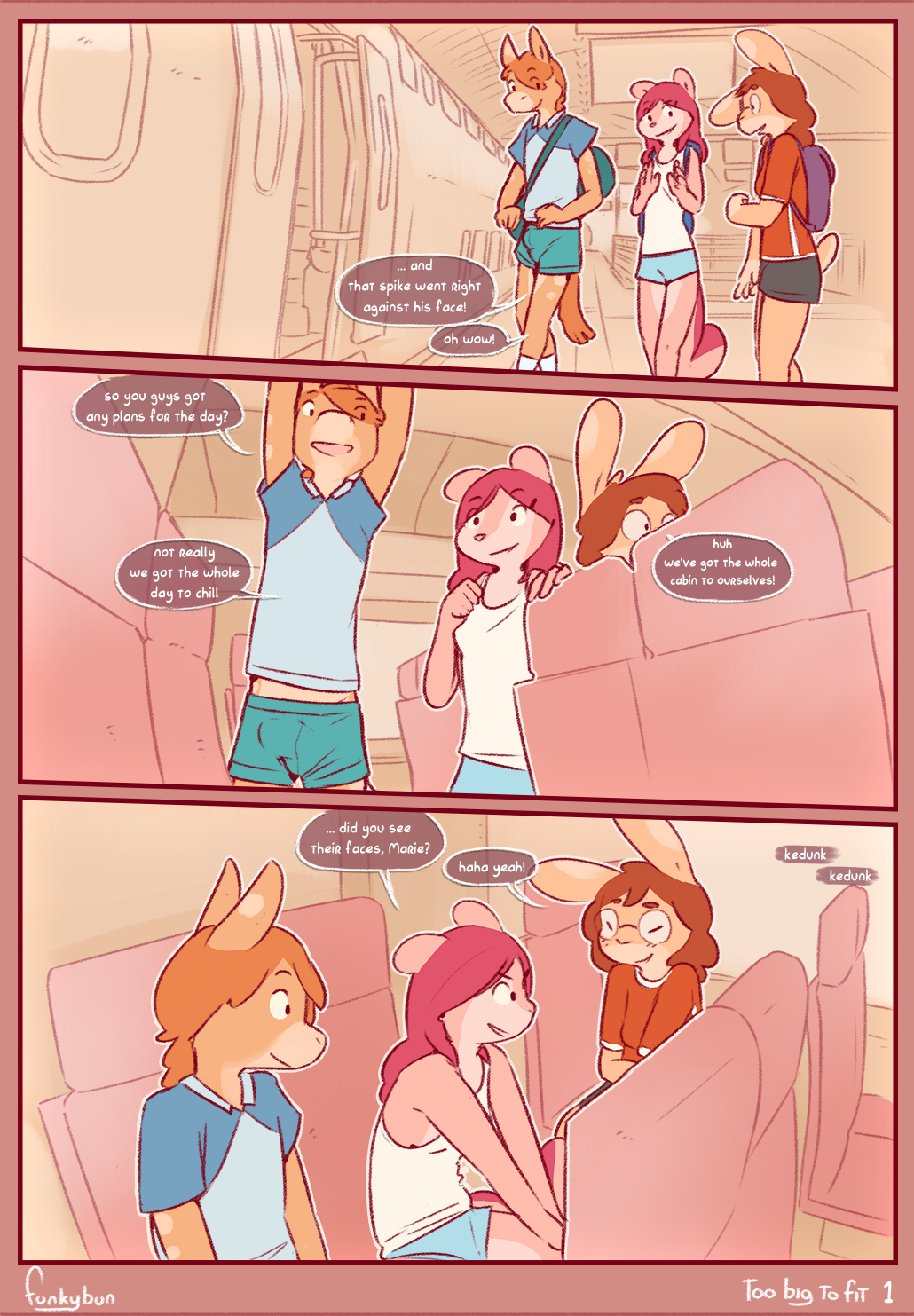 Too big to fit cover