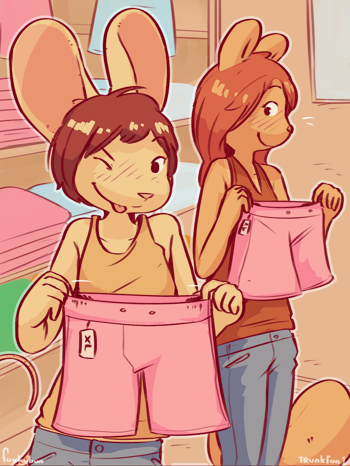 Trunkfun cover
