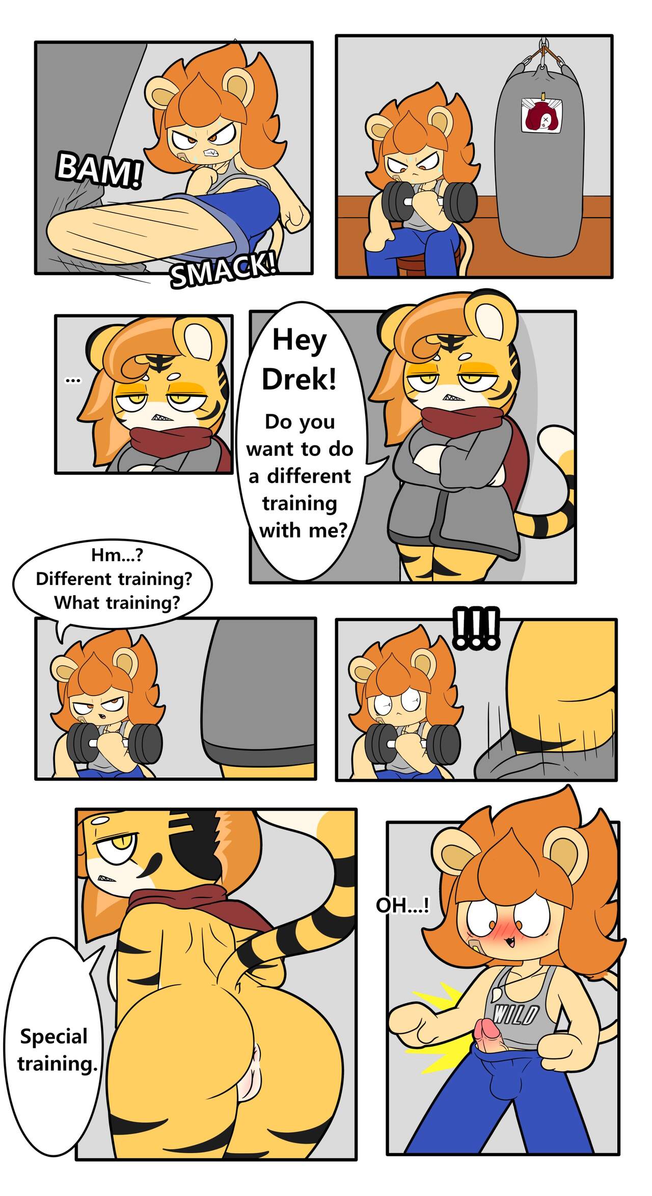 Special Training cover
