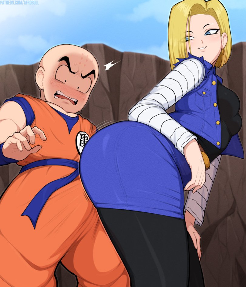 Krillin and Android 18 cover