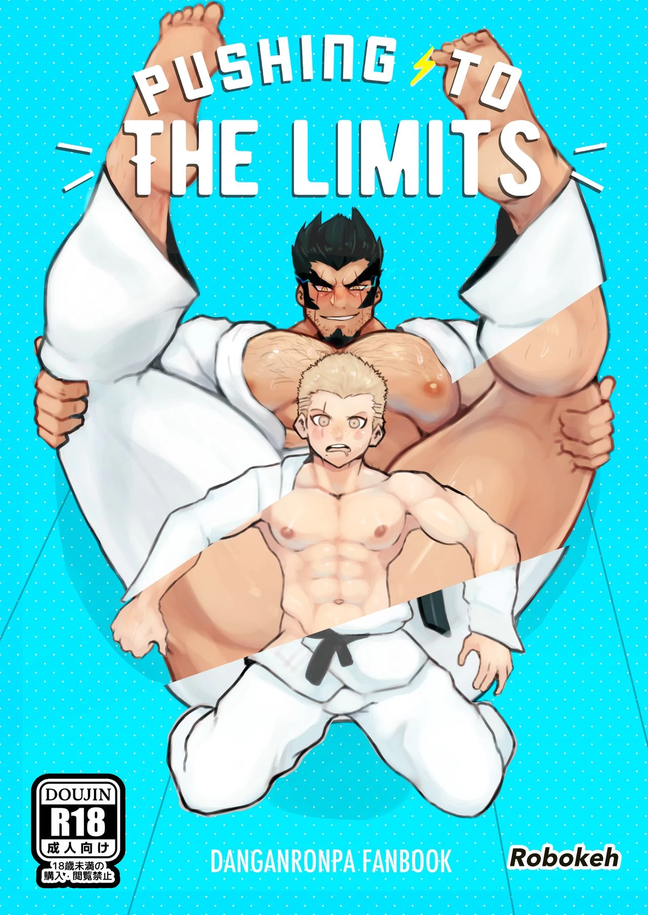 Pushing to the limits cover