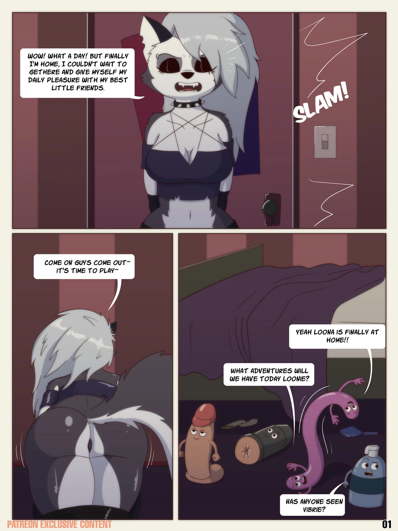 The adventures of Loona and The D's cover