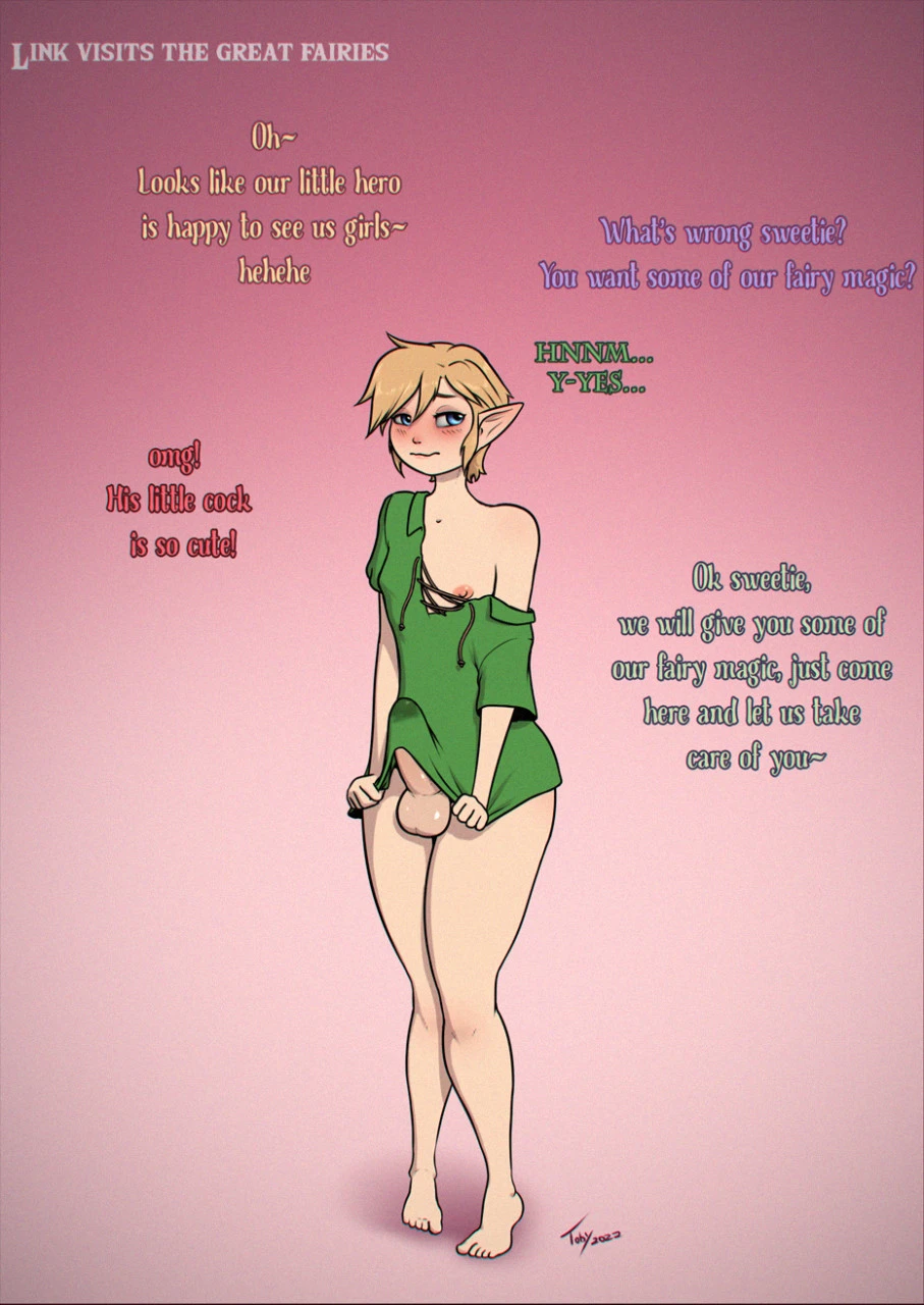 Link's bimboyfication cover